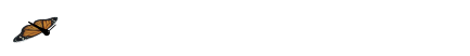 Metapocyrtus sp