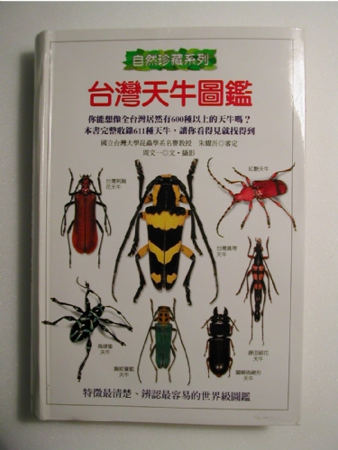 Cerambicidi Taiwan