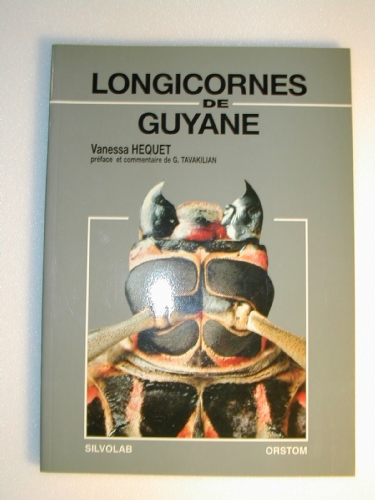 Longicornes de Guyane